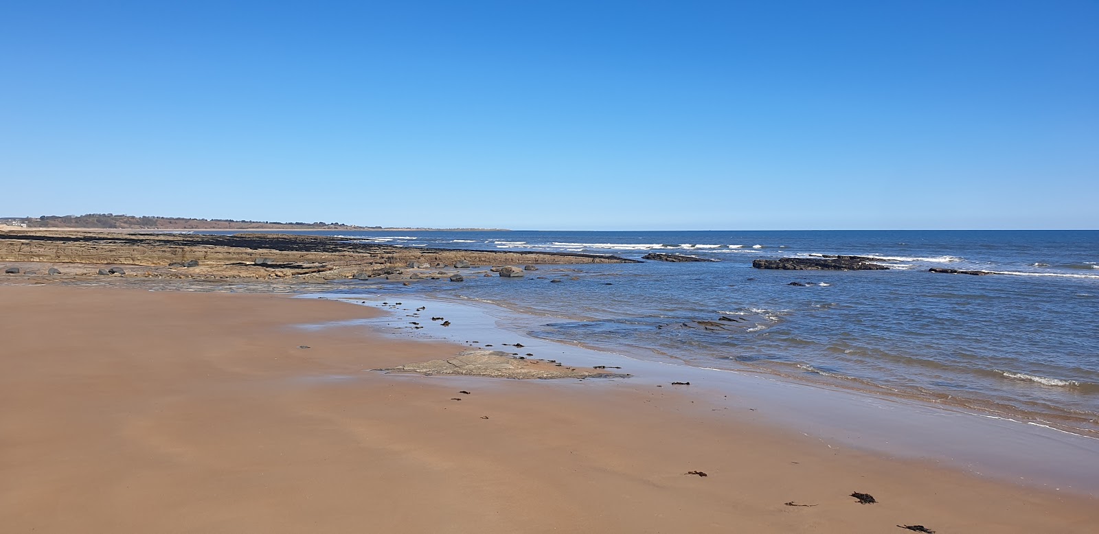 Foto di Spiaggia di Warkworth ubicato in zona naturale