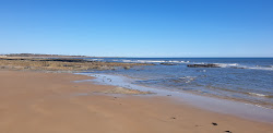 Foto di Spiaggia di Warkworth ubicato in zona naturale