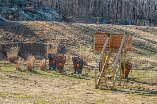 Gun Shop «Griffin & Howe», reviews and photos, 270 Stanhope Sparta Rd, Andover, NJ 07821, USA