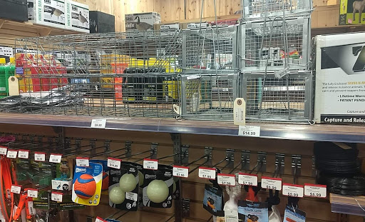 Fin Feather Fur Outfitters - Milan