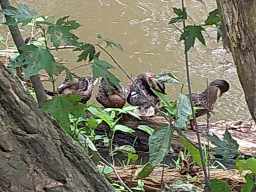 Tourist Attraction «St. Helena Heritage Park», reviews and photos, 123 Tuscarawas St NW, Canal Fulton, OH 44614, USA