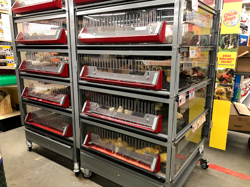 Home Improvement Store «Tractor Supply Co.», reviews and photos, 134 Bridge St, Pelham, NH 03076, USA