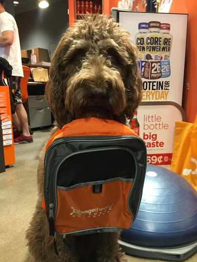 Gym «Orangetheory Fitness», reviews and photos, 999 S Logan St #100, Denver, CO 80209, USA