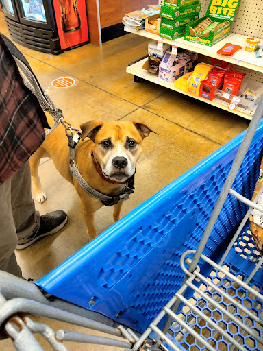 Pet Supply Store «PetSmart», reviews and photos, 5812 Youngstown Warren Rd, Niles, OH 44446, USA