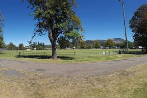 Wilson Memorial Oval image