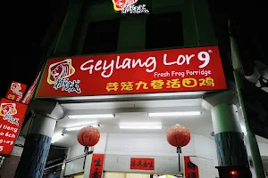 Geylang Lor 9 Fresh Frog Porridge (芽笼九巷活田鸡) image