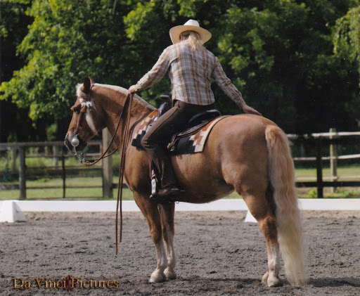 KC Equitation and Horsemanship