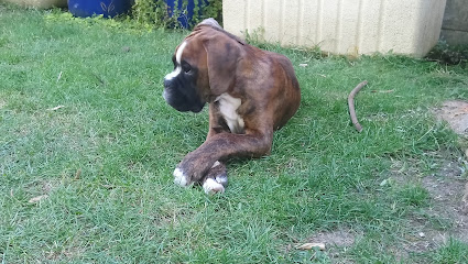 Centre Canin