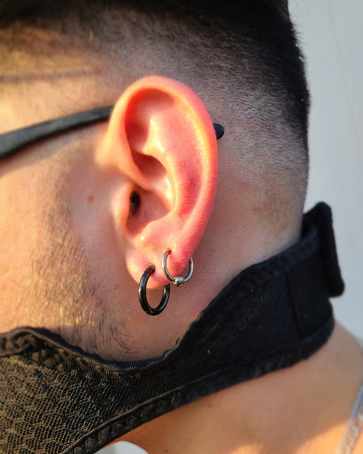 Body Piercing Shop «Skin Gallery Tattooing & Body Piercing», reviews and photos, 1402 Ogden Ave, Downers Grove, IL 60515, USA