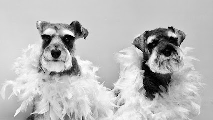 Lula Shop Peluqueria Canina - Servicios para mascota en Almería