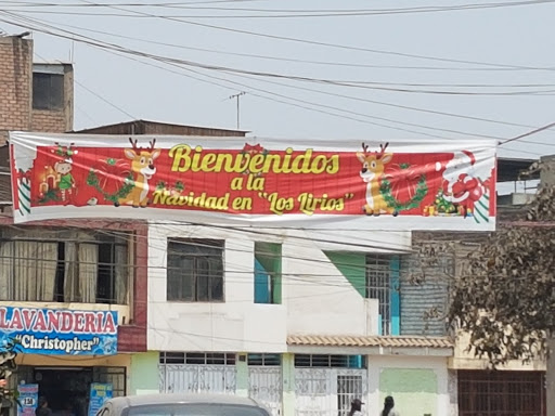 NAVIDAD EN LOS LIRIOS