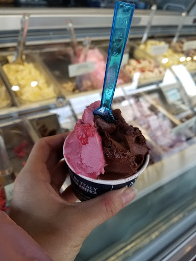 Ice Cream Shop «Paciugo Frisco South», reviews and photos, 8008 TX-121, Frisco, TX 75034, USA