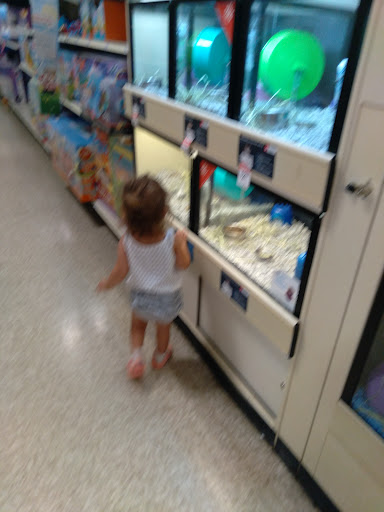 Pet Supply Store «PetSmart», reviews and photos, 467 Cross Keys Rd, Sicklerville, NJ 08081, USA