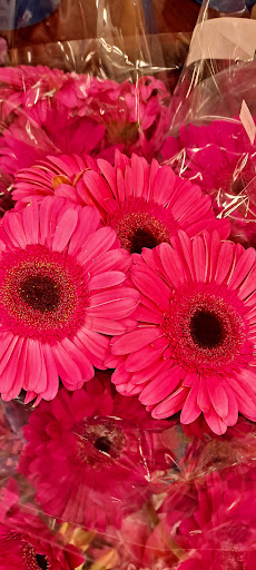 Safeway image
