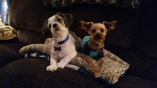 Pet Supply Store «Animal House Grooming & Quality», reviews and photos, 229 W Absecon Blvd, Absecon, NJ 08201, USA