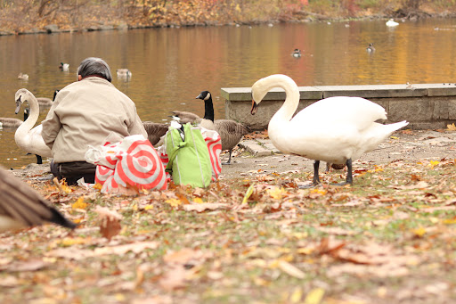 Park «Van Cortlandt Park», reviews and photos, Broadway and Vancortlandt Park S, Bronx, NY 10462, USA