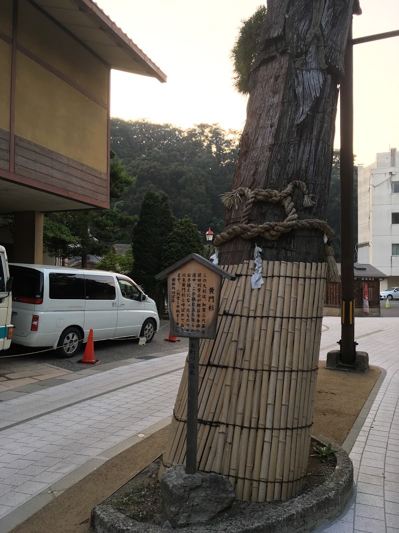 黄門杉 石川県小松市 史跡 グルコミ