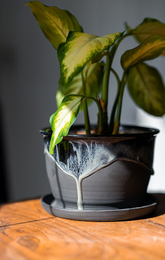 Florist «Poplar Flower Shop», reviews and photos, 361 S 18th St, Terre Haute, IN 47807, USA