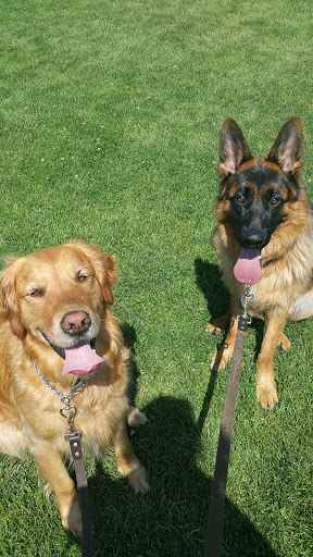 Park «Cranmer Park», reviews and photos, 4501 E 1st Ave, Denver, CO 80220, USA