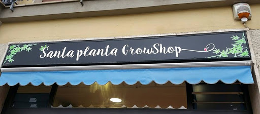 Santa Planta Grow Shop Firenze (FI), CBD, Canapaio, Semi collezione Firenze