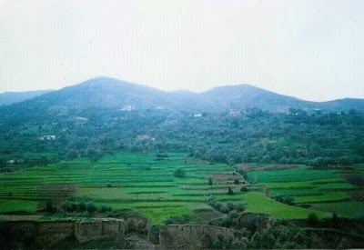 store
