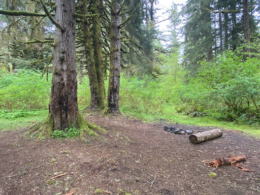 Tourist Attraction «Melmont ghost town», reviews and photos, Carbon River Rd, Carbonado, WA 98323, USA