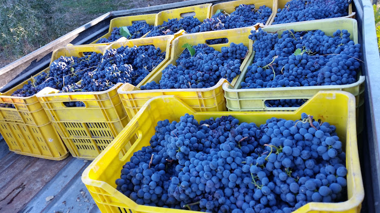 Plats et boissons Villa Il Villino e Le Scuderie 50022 Greve in Chianti