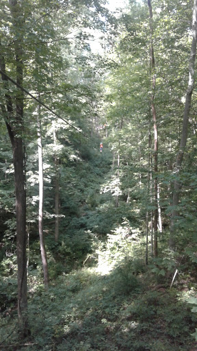 Tourist Attraction «Indiana Zipline Tours», reviews and photos, 4641 W 450 S, Crawfordsville, IN 47933, USA