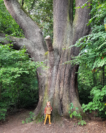 Parc Jacques Brel