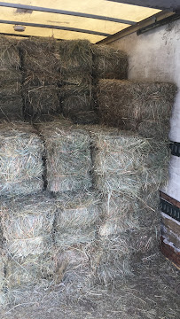 Daley Way Farm Supply - Photo 3 - Car repair in Hampden, MA, Springfield