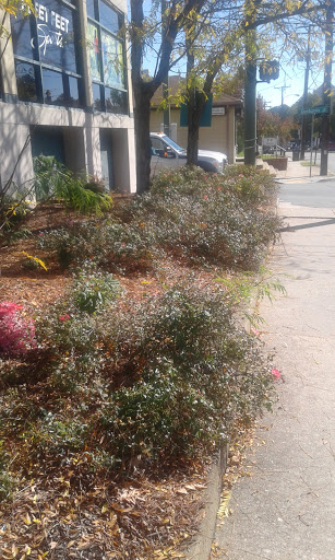 Running Store «Fleet Feet Sports Richmond», reviews and photos, 5600 Patterson Ave, Richmond, VA 23226, USA