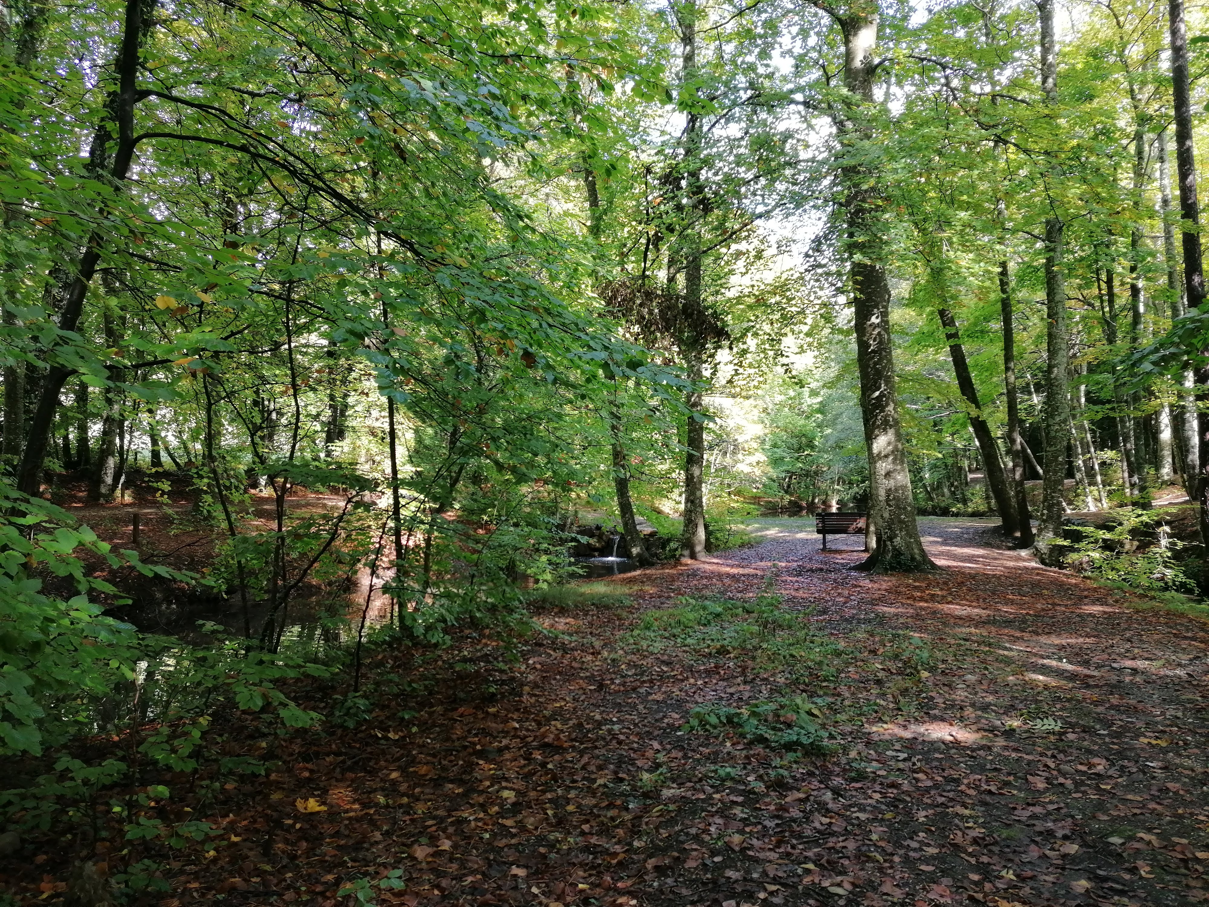 Photo n° 3 de l'avis de Frédérique.h fait le 22/10/2023 à 08:25