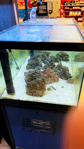 Pet Supply Store «Petco Animal Supplies», reviews and photos, 1333 Centennial Ave, Piscataway Township, NJ 08854, USA