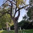 Mooneyham-Sparkman Cemetery