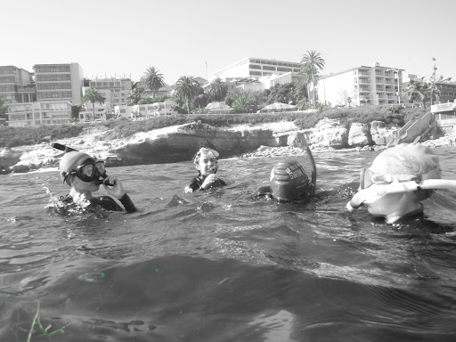 Sporting Goods Store «La Jolla Swim and Sport», reviews and photos, 1008 Torrey Pines Rd, La Jolla, CA 92037, USA