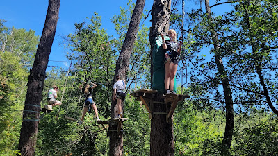 La Forêt des Écureuils à Saint-Vincent-le-Paluel