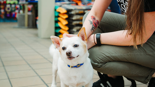 Pet Supply Store «Dogge Style Pets Passyunk», reviews and photos, 1700 E Passyunk Ave, Philadelphia, PA 19148, USA