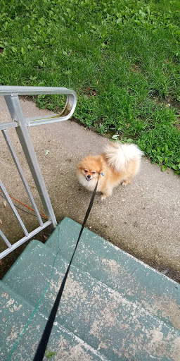 Pet Supply Store «Petco Animal Supplies», reviews and photos, 2823 County Home Rd, Goshen, IN 46526, USA