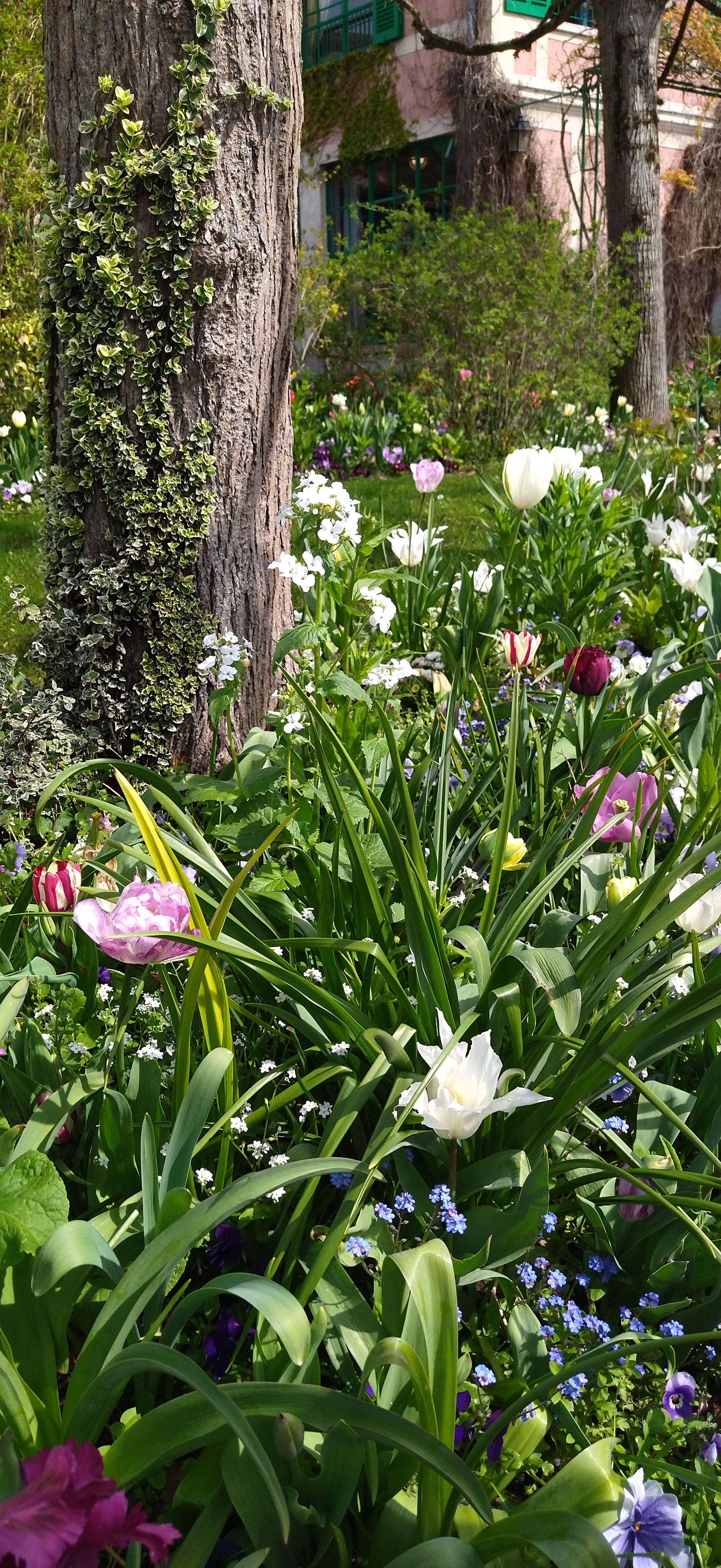 Photo n° 3 de l'avis de PHILIPPOT.a fait le 16/04/2023 à 17:54