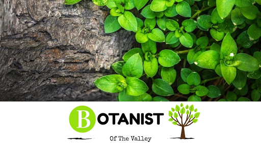 Botanist of The Valley