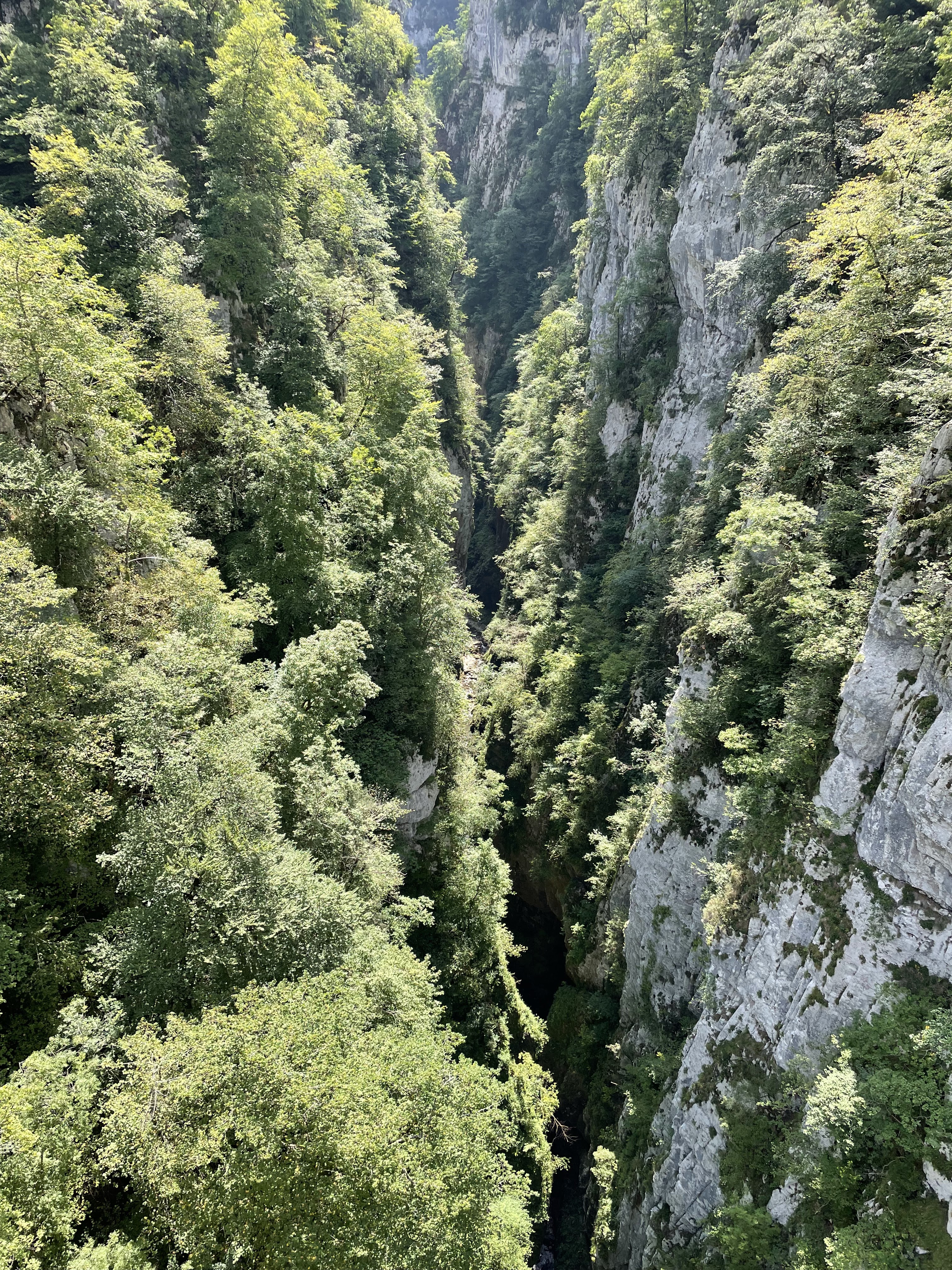 Photo n° 26 de l'avis de Pierre.N fait le 05/08/2022 à 22:42