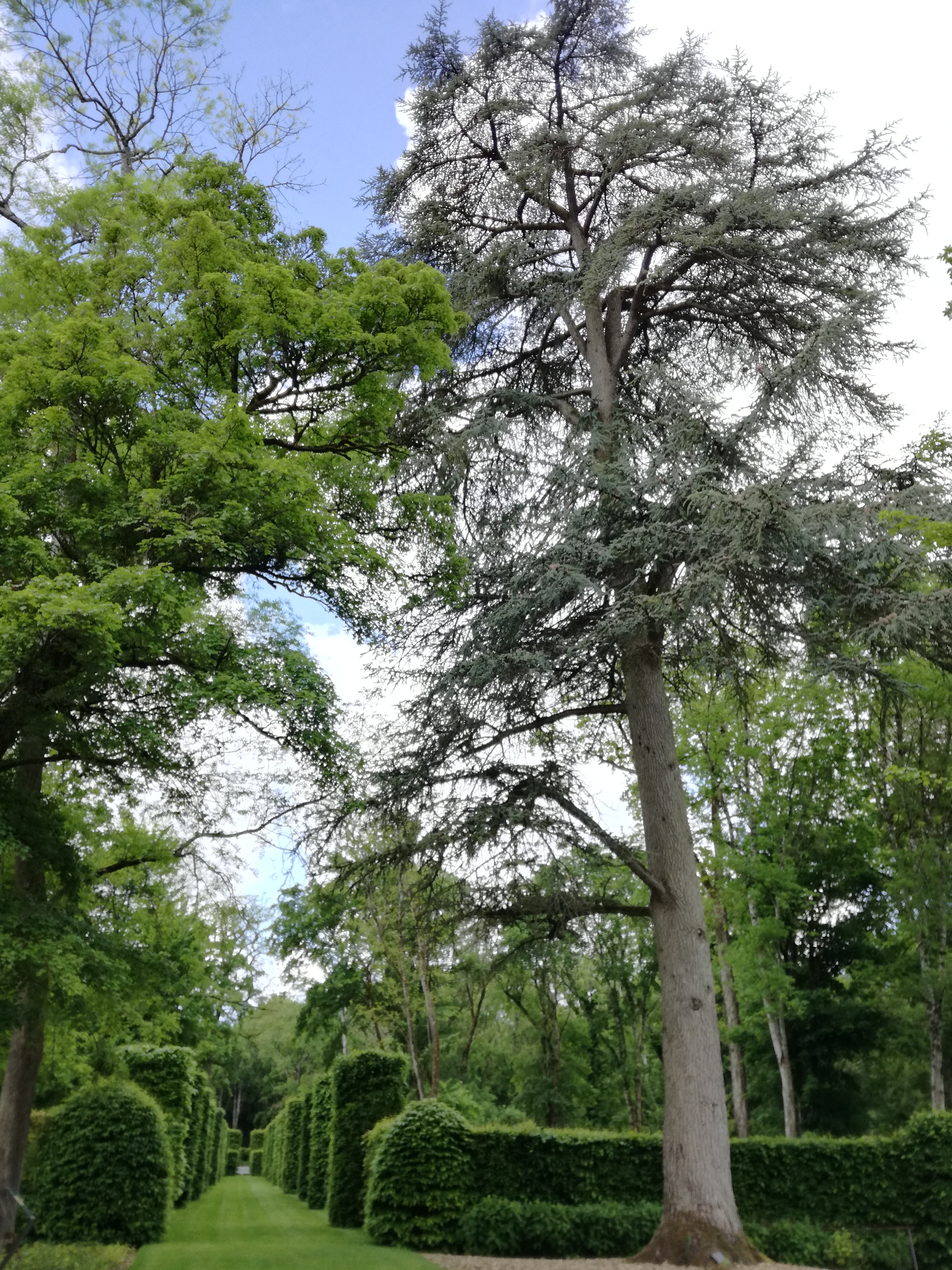 Photo n° 7 de l'avis de Valérie.A fait le 28/05/2021 à 11:04