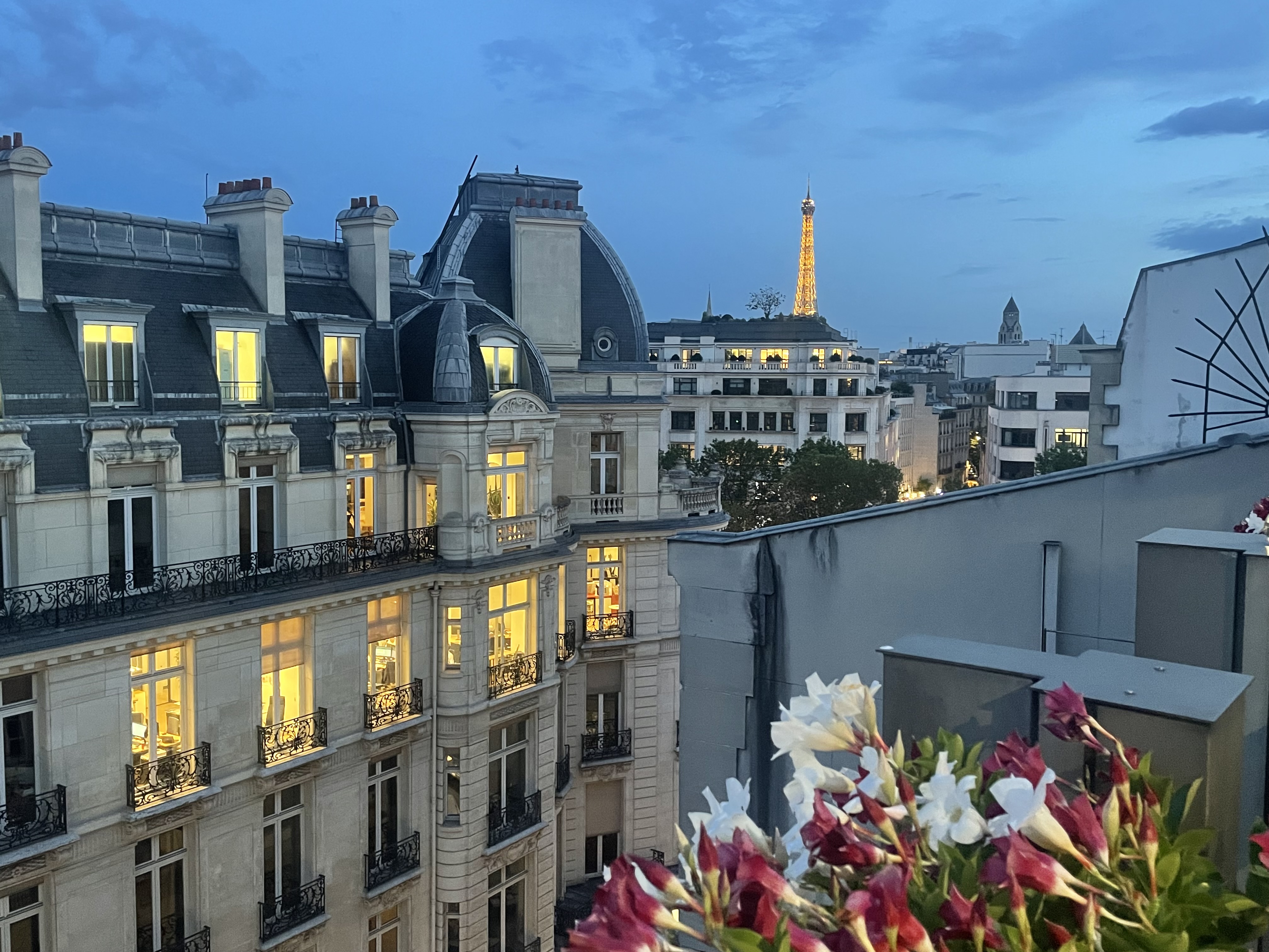 Photo n° 1 de l'avis de MJA.� fait le 17/07/2023 à 20:08