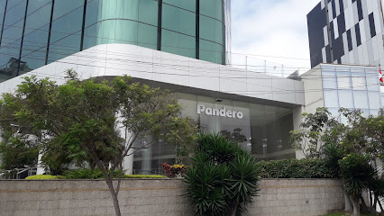 Pandero