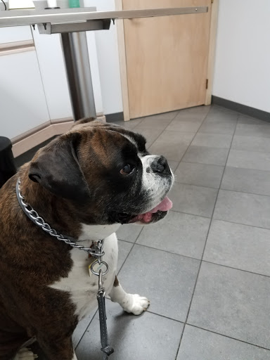 Forest Inn Veterinary Hospital