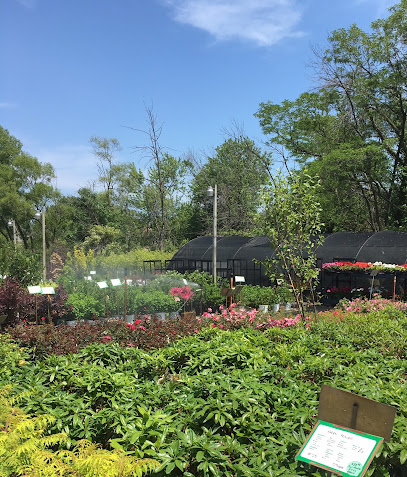 RAL Landscaping & Garden Center