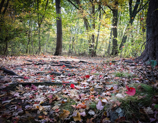 Park «Cold Spring Park», reviews and photos, Beacon St, Newton, MA 02461, USA