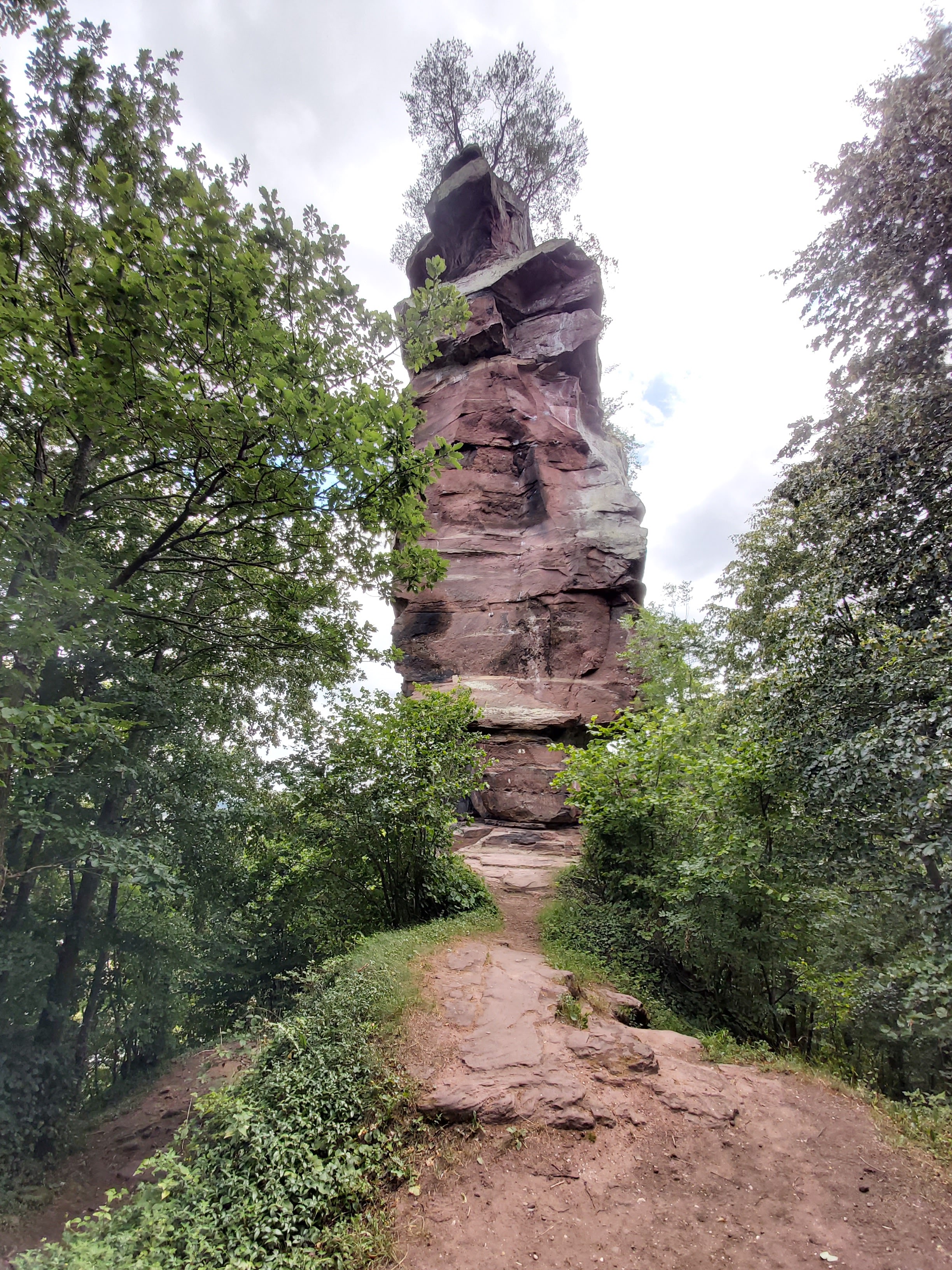 Photo n° 3 de l'avis de monica.r fait le 26/07/2020 à 21:10