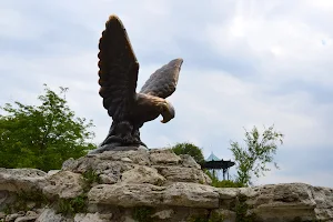 Bronze Eagle image