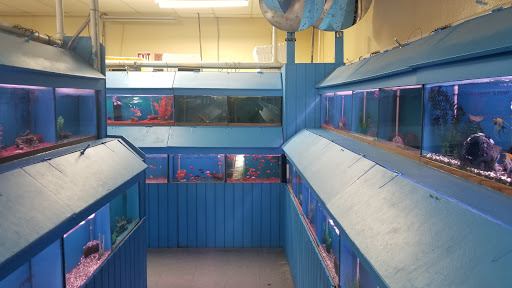 Pet Store «Fontana Tropical Fish & Pets», reviews and photos, 9830 Sierra Ave, Fontana, CA 92335, USA